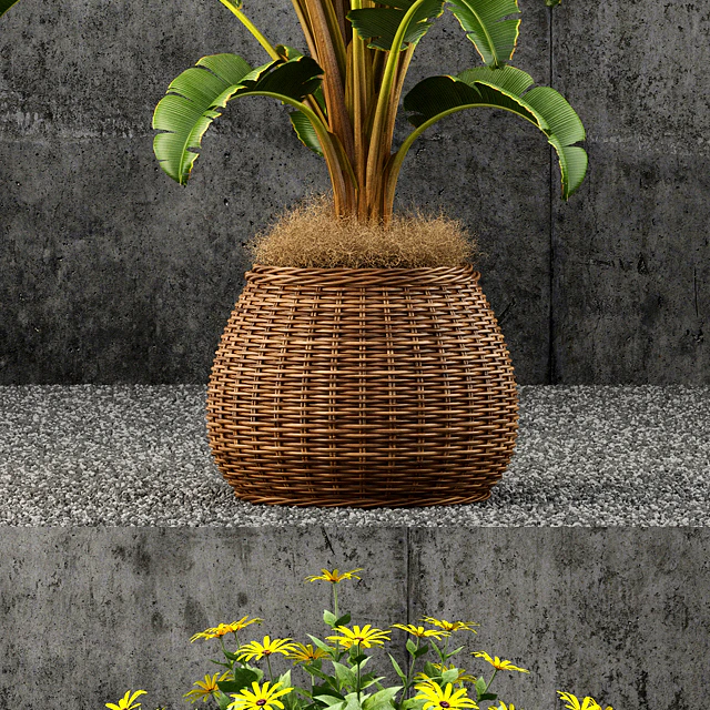 Plants collection 55 — Descargar