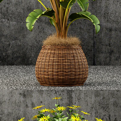 Plants collection 55 — Ver 2