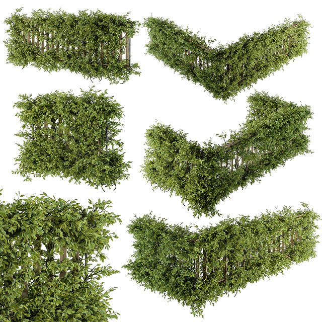 Outdoor Wood Fence with Ivy Plants - Fence 07 — Скачать