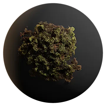 moss patch 001 — Descargar