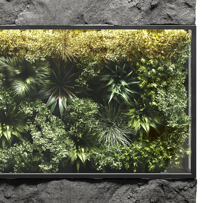 collection outdoor plant stand vertical garden wall glass box vase — Вид 4