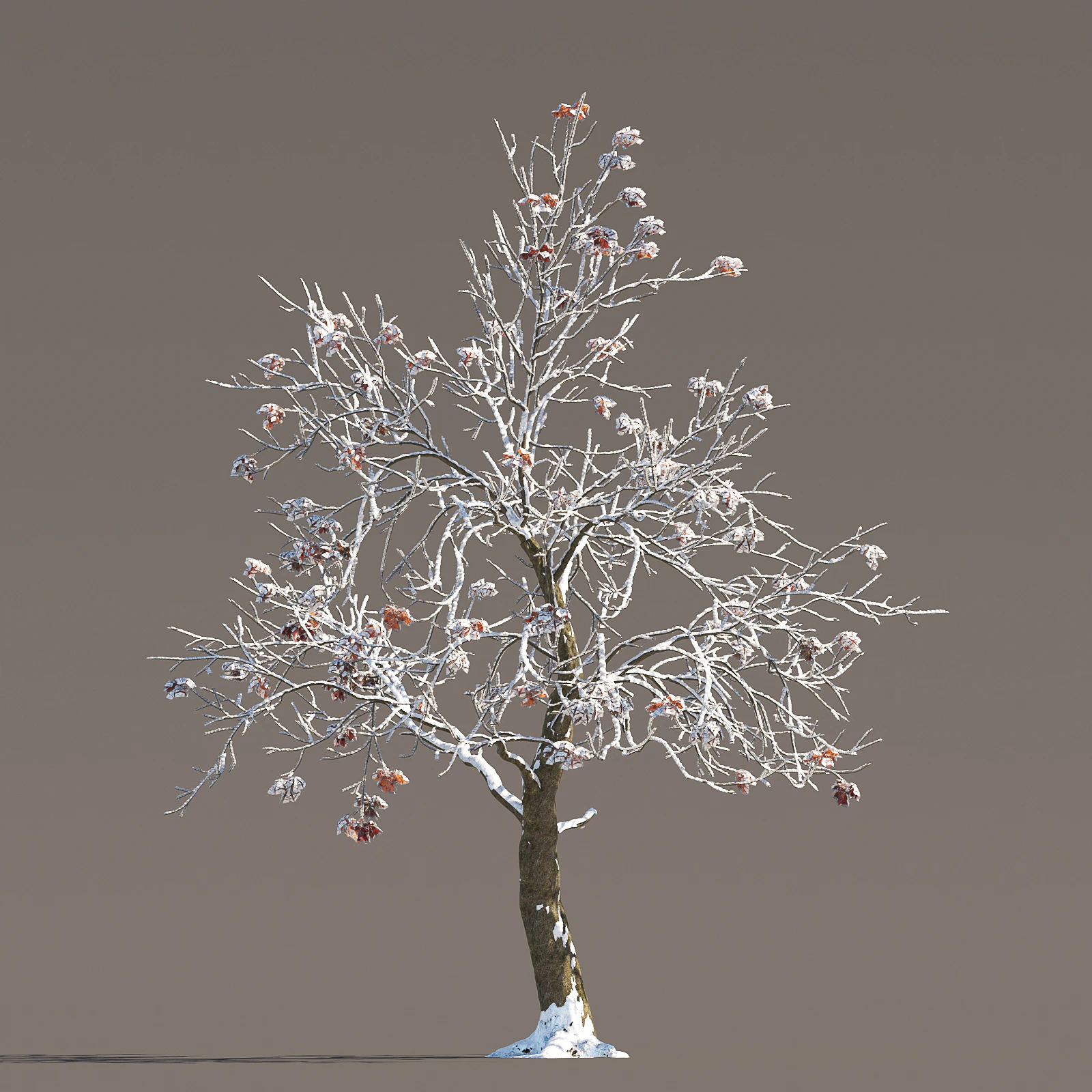 051 winter — Скачать