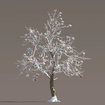 051 winter — Скачать