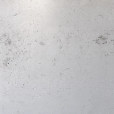 Plaster 1090 — Ver 2