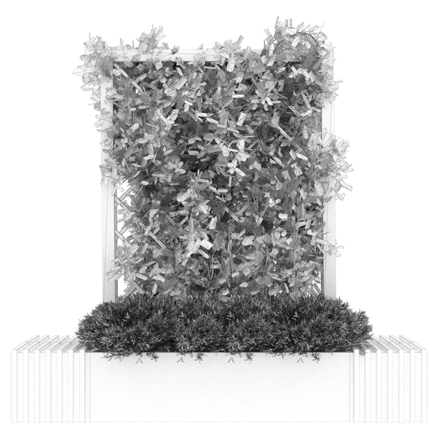 Collection plant vol 16 — Descargar