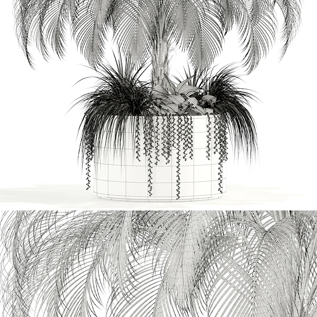 Plants collection 104 — Descargar