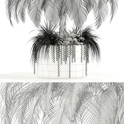 Plants collection 104 — Ver 2