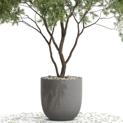 Plants collection 670 — Ver 2