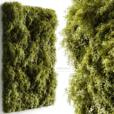 Grassfall — Ver 1