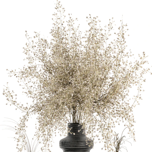 Indoor Dry Plants in rusty Concrete Pots - Set 288 — Descargar