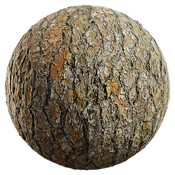 pine bark 005 — Descargar