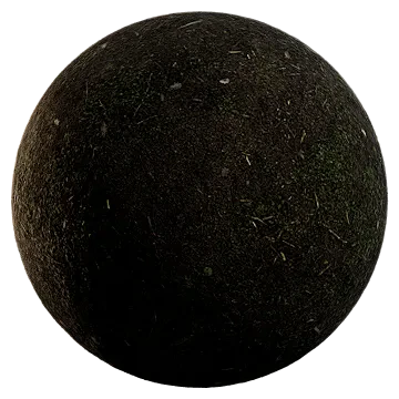 mossy forest floor 008 — Descargar