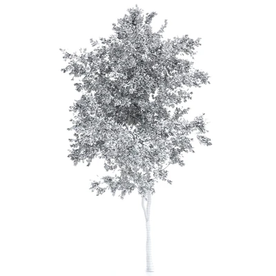 elder tree — Ver 2