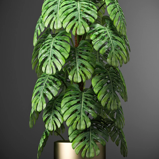 PLANTS 105 — Скачать