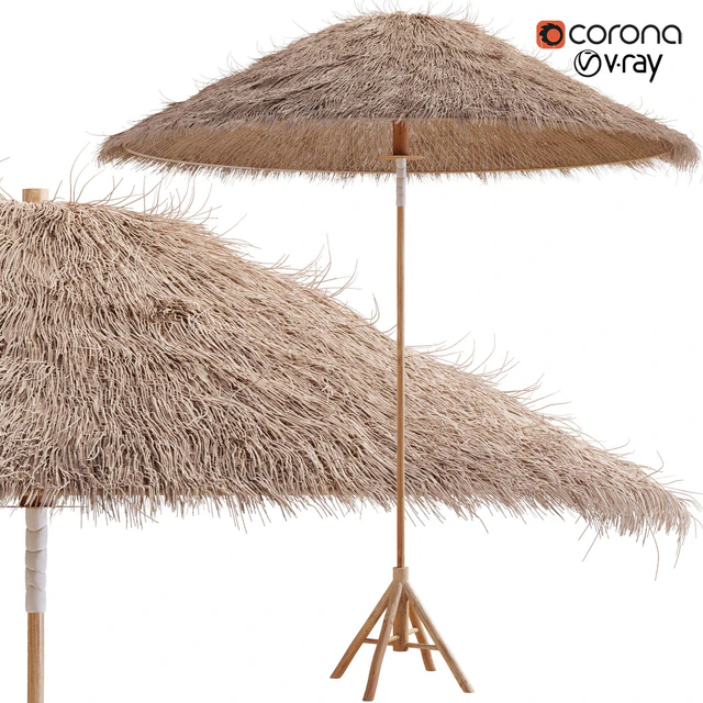 Bamboo Umbrella with Banana Leaf — Descargar