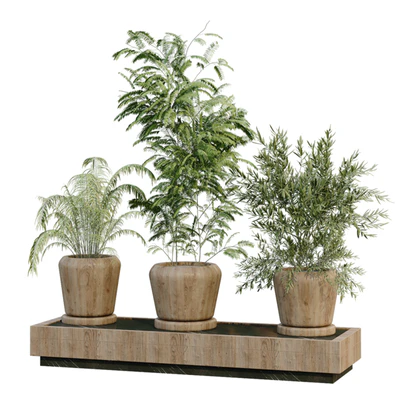 green plant in box 269 — Вид 3