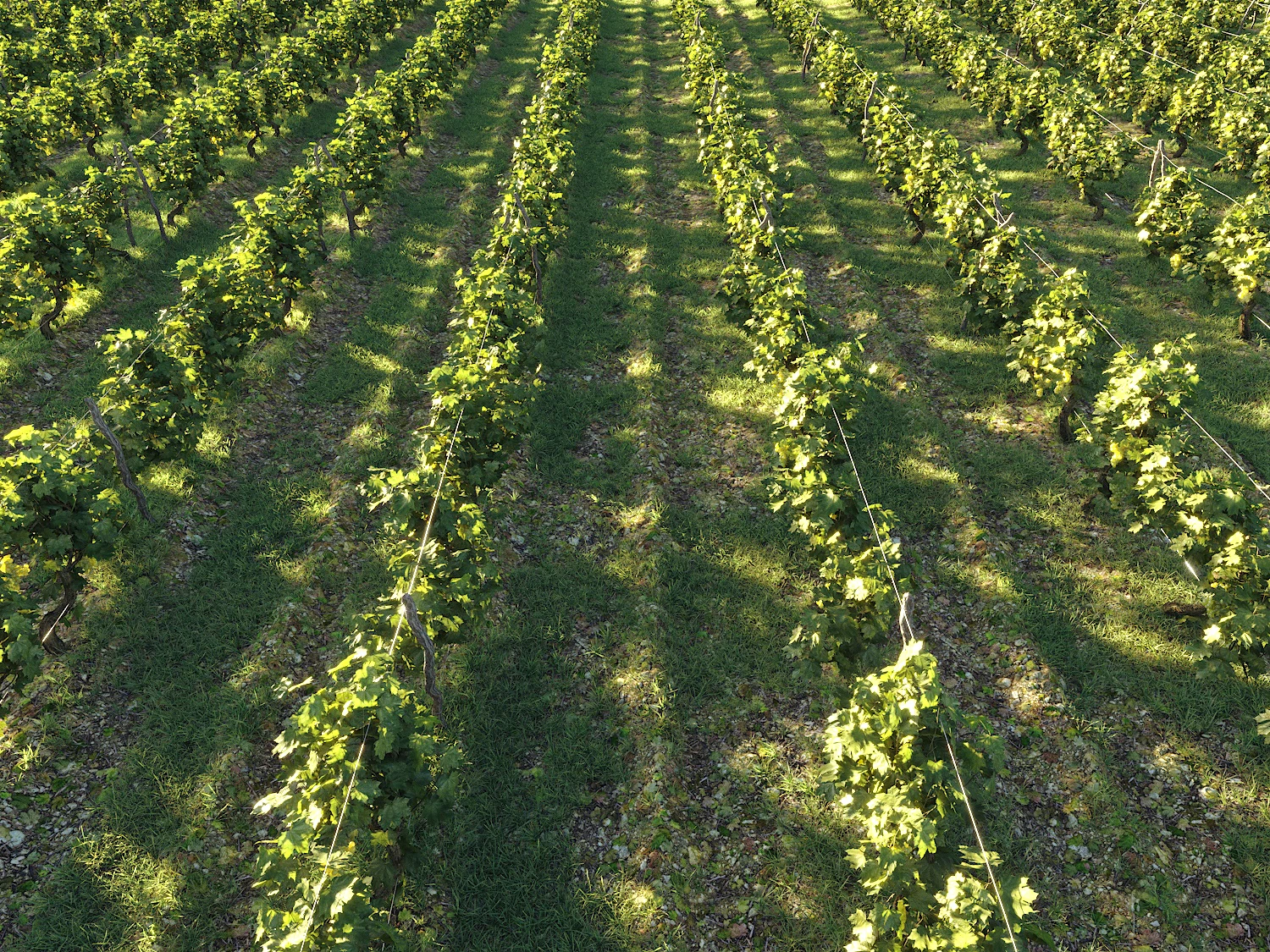 dionysus vineyard pack — Скачать