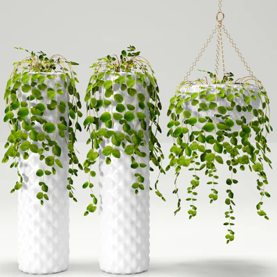 Plants in pots — Ver 1