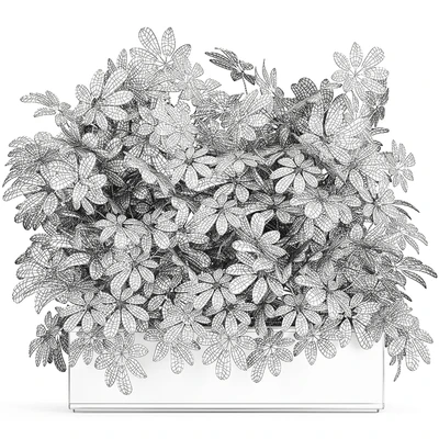 A beautiful lush shrub of an ornamental plant in a black Scheffler pot. Set 767. — Ver 2