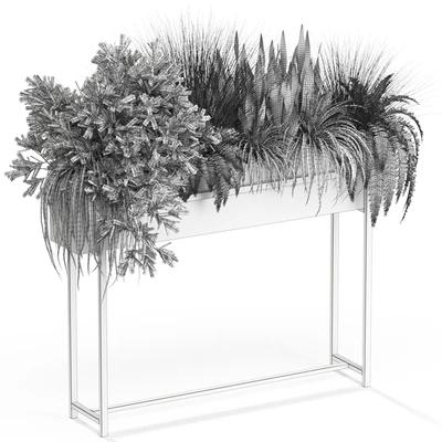 Plants collection 587 — Вид 2