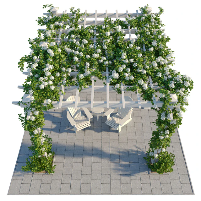 Pergola with Hydrangea — Descargar
