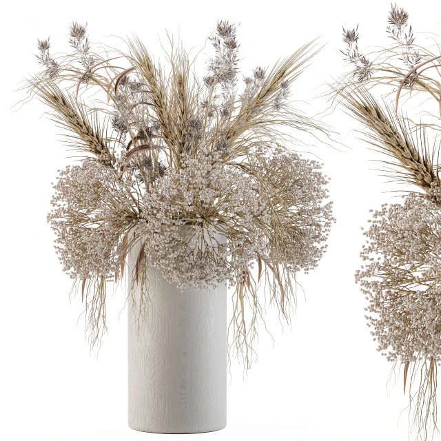 Dry Plants Set 08 — Descargar