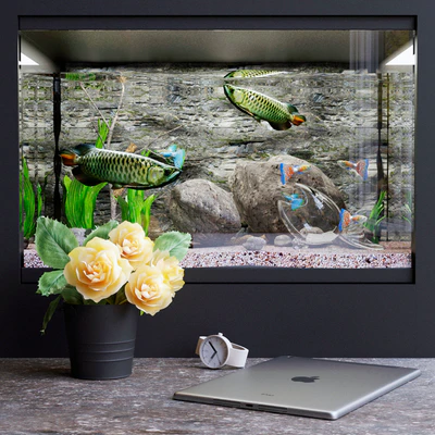 Decorative set with aquarium — Ver 1