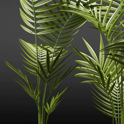 PLANTS 110 — Ver 2