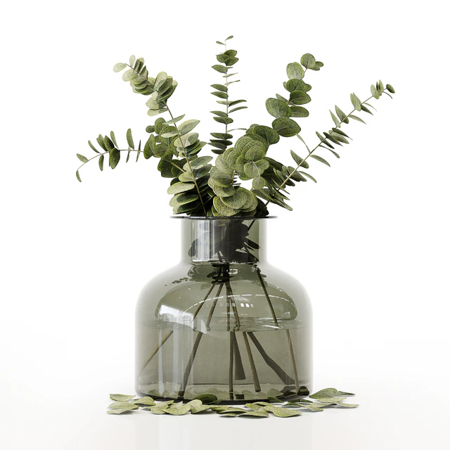 Collection Indoor Plants 020 — Descargar