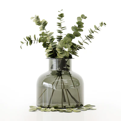 Collection Indoor Plants 020 — Ver 2