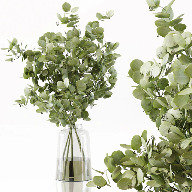 Collection Indoor Plants 049 — Descargar