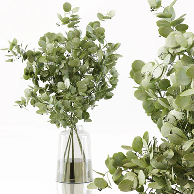 Collection Indoor Plants 049 — Ver 2