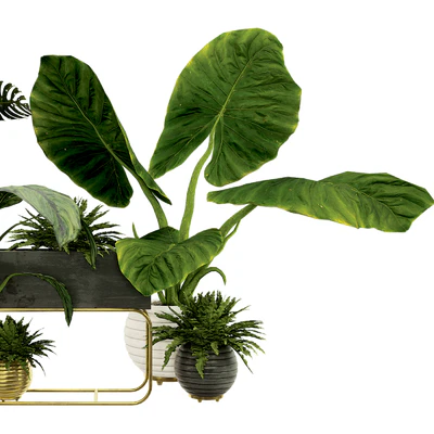 Plant Collection Set 07 — Вид 2