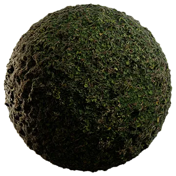wild grass and weeds 003 — Descargar