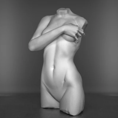 The torso of a female figure — Ver 1