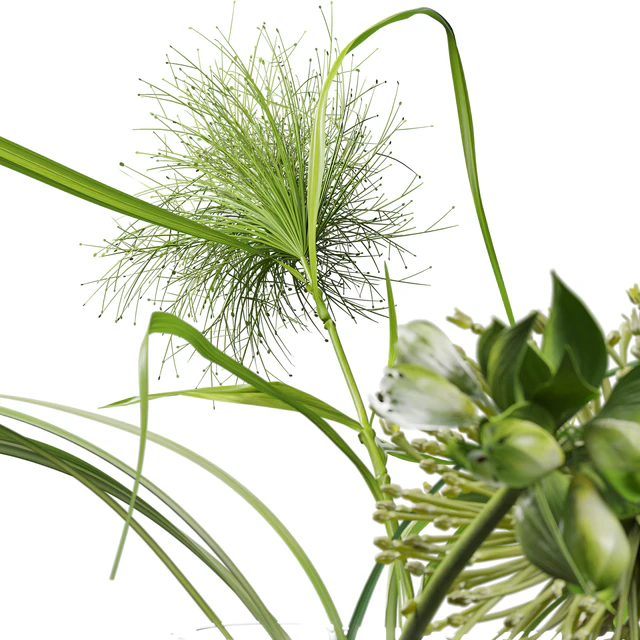 Decor set 047 with green plants AALTO VASE — Скачать