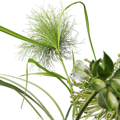 Decor set 047 with green plants AALTO VASE — Вид 3