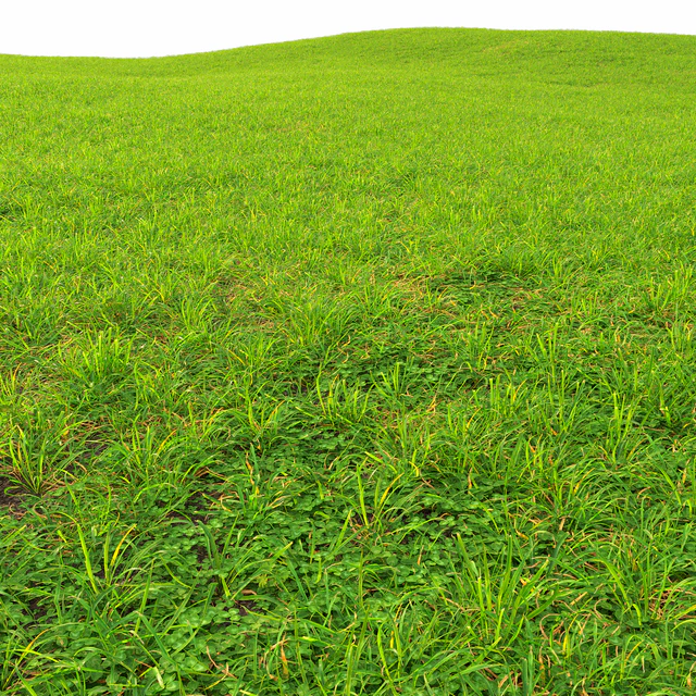 Grass lawn — Descargar