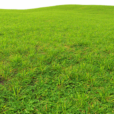 Grass lawn — Ver 2