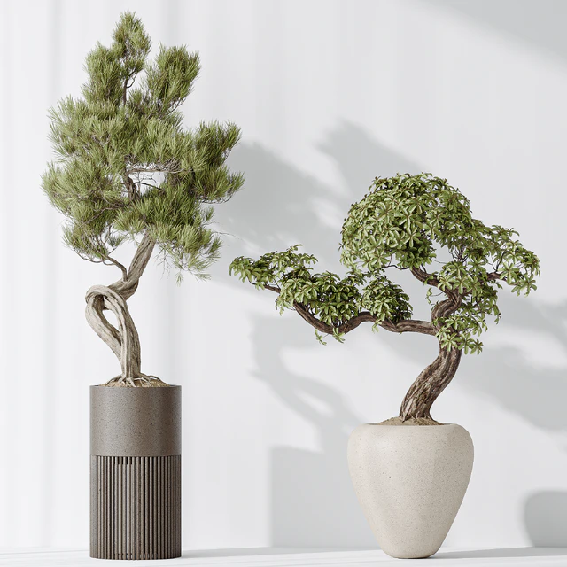 Indoor plant set 23 — Descargar