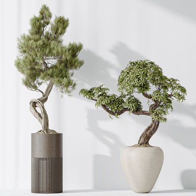 Indoor plant set 23 — Ver 3