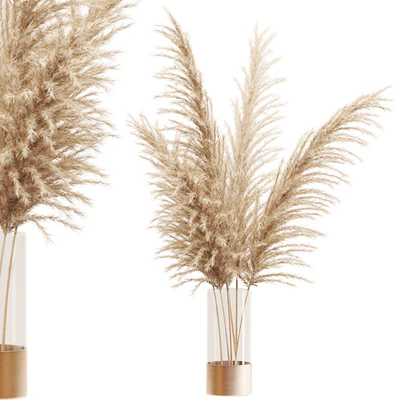 Dried flower pampas grass in glass gold vase — Ver 1