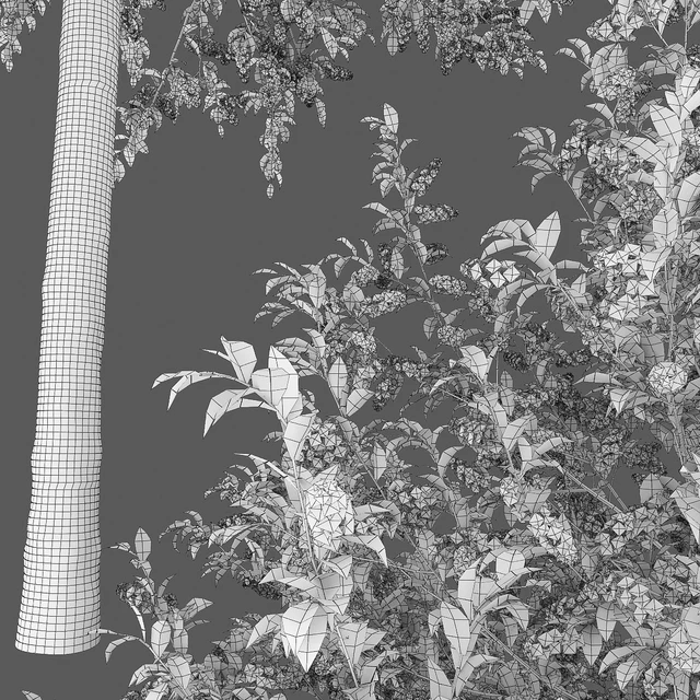 Bird cherry | Prunus Padus flowering # 4 — Descargar