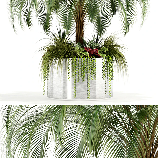 Plants collection 104 — Descargar