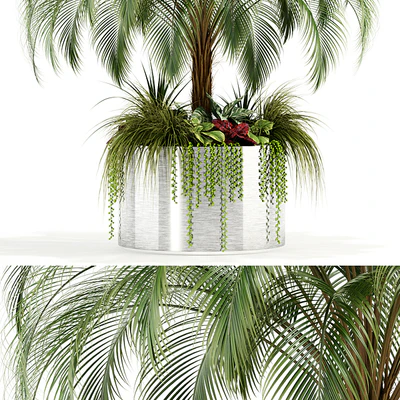 Plants collection 104 — Ver 3