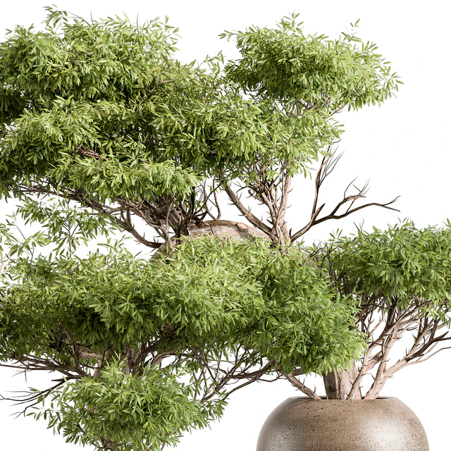 Bouquet - Green Branch 116 — Descargar