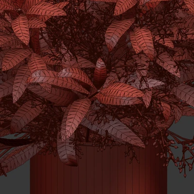 Bouquet of olive branches. — Ver 2