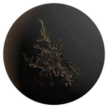 weed between tiles 001 — Descargar