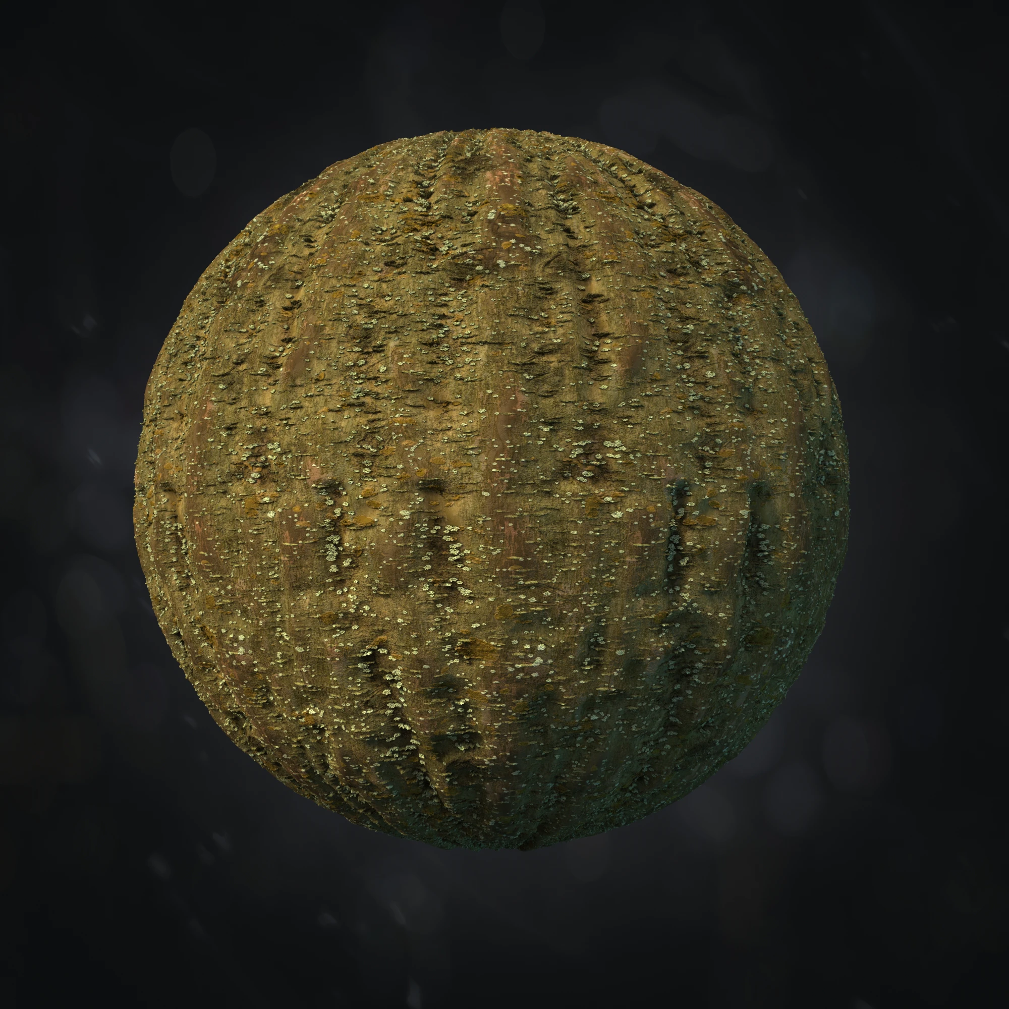 sorbus aucuparia bark 003 — Descargar