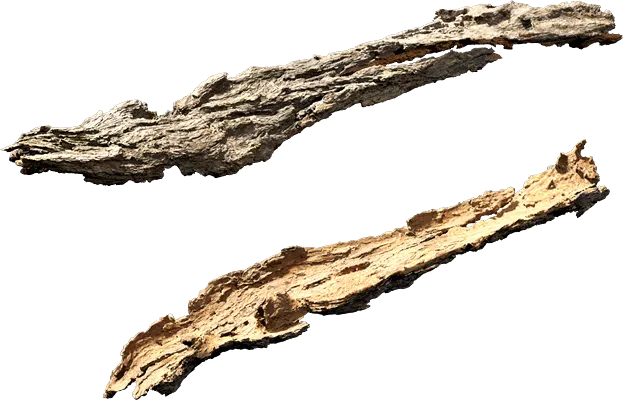 tree bark 001 — Descargar